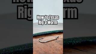 How to Texas Rig a Plastic Worm (Bass Fishing Tutorial)