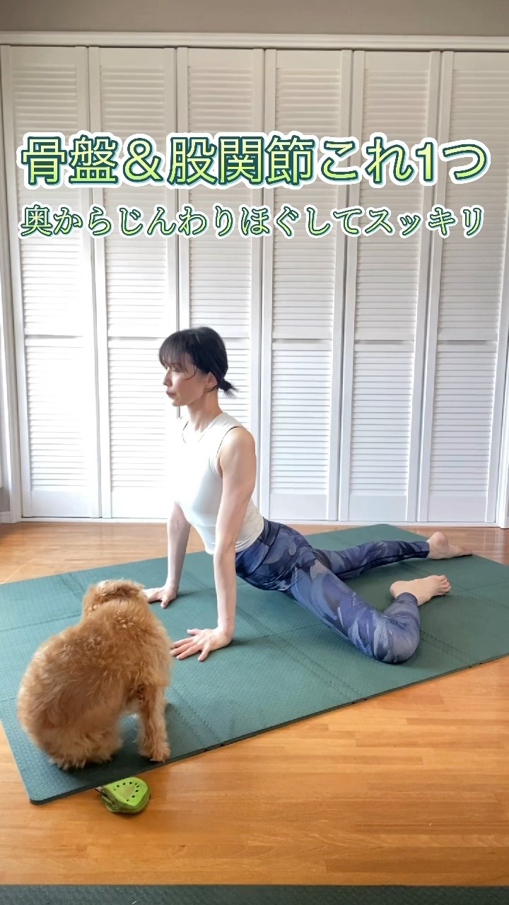 股関節ストレッチ】3点セット