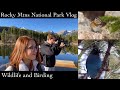 Rocky Mountain National Park Vlog