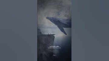 وما خلقنا السماء والأرض وما بينها باطلا القارئ جمال عبد الناصر #اكسبلور #ارحقلبك #راحه_وطمأنينه