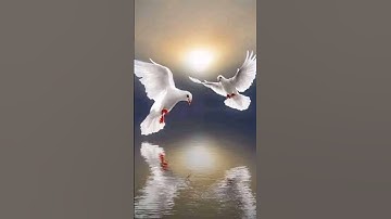 سورة الناس ❤ أكتب شيء تؤجر عليه 🌹🍃