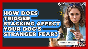 How Does Trigger Stacking Affect Your Dog