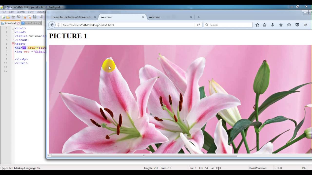 Basic Html - hyperlink