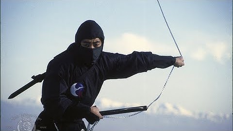 “We Desperately Need A New Ninja Video Game!”