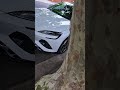 EV's in the Wild - BYD Seal