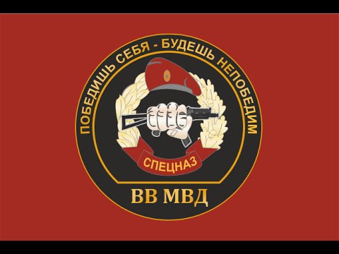 С Днем Спецназа Внутренних Войск МВД России!