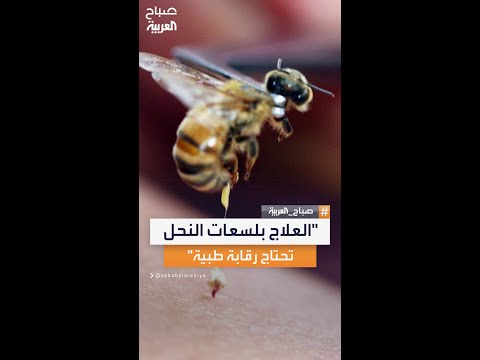 اختصاصية العلاج بسم النحل عبير الفقي تحذر من تجاهل اختبار الحساسية قبل جلسات علاج بلسعات النحل
