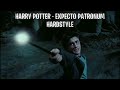 Harry Potter Hardstyle Expecto Patronum Fwice Remix