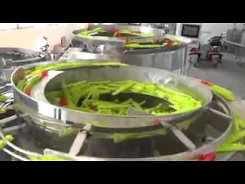 ملاقط الغسيل البلاستيكية