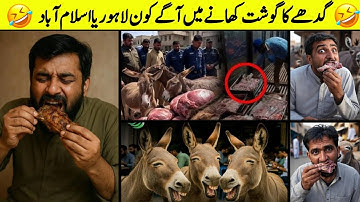 गधे से राजा की मुलाकात लाहौर बनाम इस्लामाबाद मजेदार क्षण 😁.
