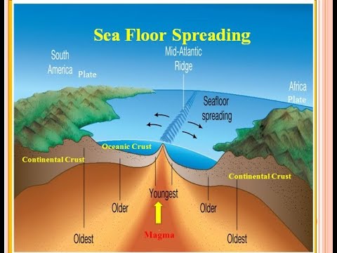 Sea Floor Spreading Plate Tectonics