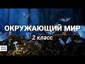 2 касс - Окружающий мир - Весеннее пробуждение - 06.04.2020