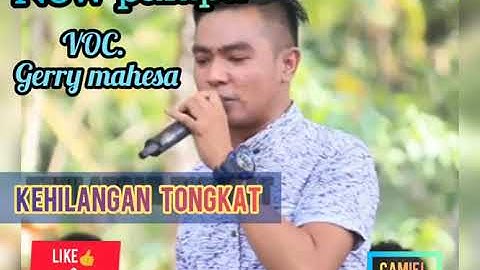 Kehilangan tongkat voc,gerry mahesa LUNCURRRKAN