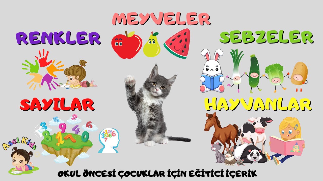 MEYVELER, SEBZELER, RENKLER, SAYILAR  VE HAYVANLARI ÖĞRENİYORUZ - ÇOCUKLAR EĞİTİCİ VİDEO