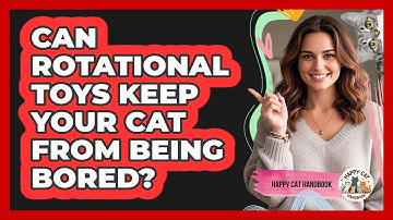 Can Rotational Toys Keep Your Cat From Being Bored? - Happy Cat Handbook