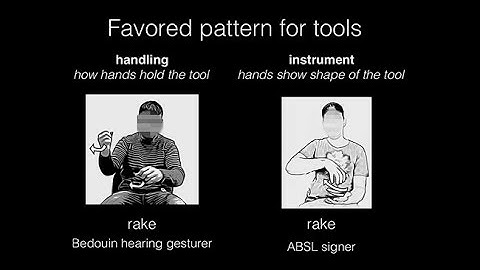 CARTA: How Language Evolves: Mark Aronoff: Co-emergence of Meaning and Structure in a New Language