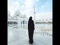 Overview of Grand mosque Sheikh Zayed, one of the biggest mosque in the world 😍🇦🇪