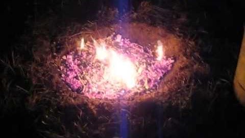 Biochar - cone pit method - great results!  First trial