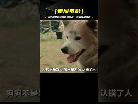 超越《忠犬八公》的感人神作，千萬別看，或許你看完會淚目！