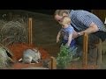 Prince George goes to the Zoo with Kate and Wills in Australia
