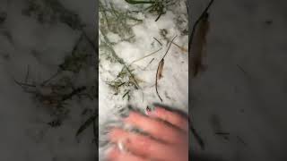 Fast &amp; Aggressive Snow ASMR #fastandaggressiveasmr #visualtingle #snowasmr #relax #lofi