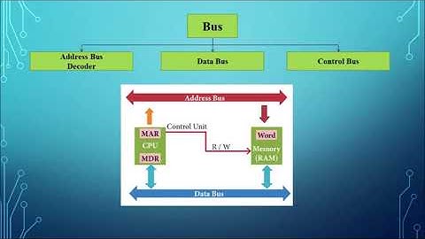 Class 11 Computer Science Chapter 3 Computer Organizations Part 1