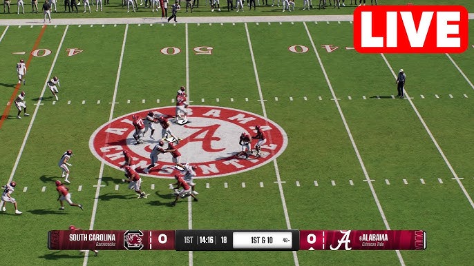 Where to Watch South Carolina Gamecocks Football Vs Alabama Crimson Tide Football: Top Viewing Spots
