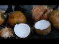 How To Heal Your Thyroid With Virgin Coconut Oil!