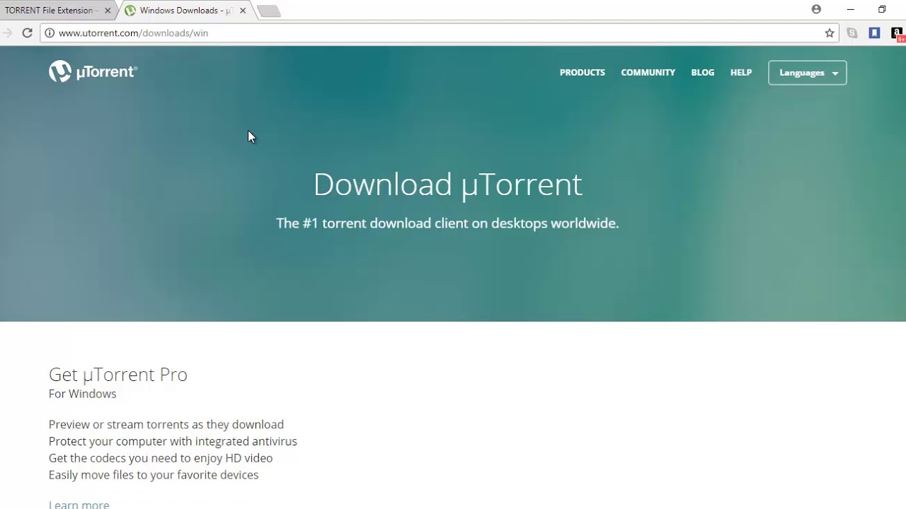 how to open torrent files online