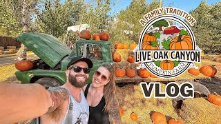 Live Oak Canyon Pumpkin Patch Vlog - 2 Roller Coasters! - September 2024