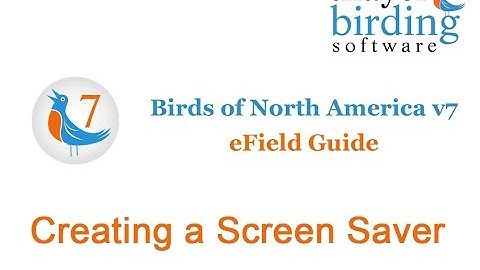 v7 - Creating a Screen Saver