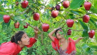Woman with girl found apple in forest for eat &amp; give food to dog |give to dog