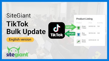 TikTok Bulk Update (English Version)