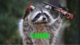 Racc's 2025 $10,000 CS2 Inventory Showcase