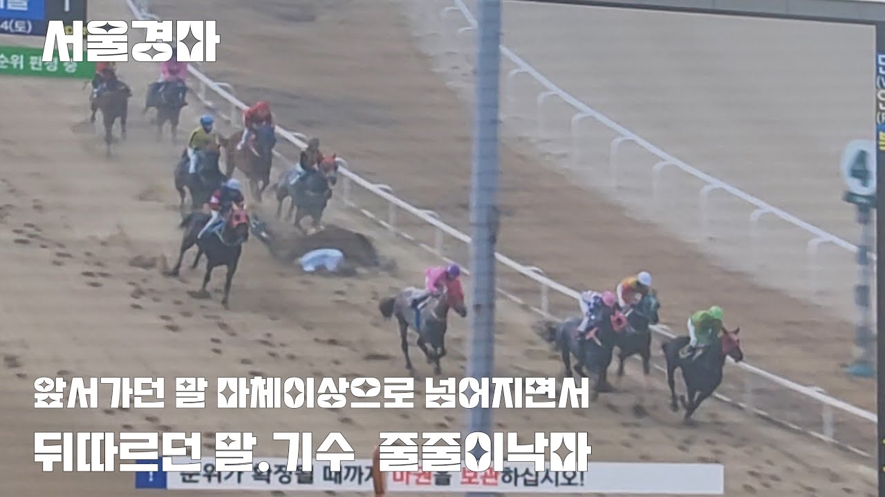 불행중 천만다행 (마체이상으로 말.기수 낙마사고)#서울경마 