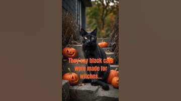 Black Cats and Ancient Myths