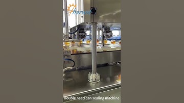 Double Head Can Sealing Machine , High Speed Can Seaming Machine, Automatic Can Closing Machine