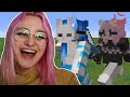 Minecraft Bedwars, But The Winners Tweets on the Losers Account with Nihachu...