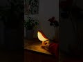 La lámpara que toda mujer desea que le regalen 😍🐦#regaloparaella #lampara #regalo #luz