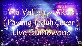 Via Vallen  ~ Akad ( Payung Teduh Cover ) SERA live Sumowono
