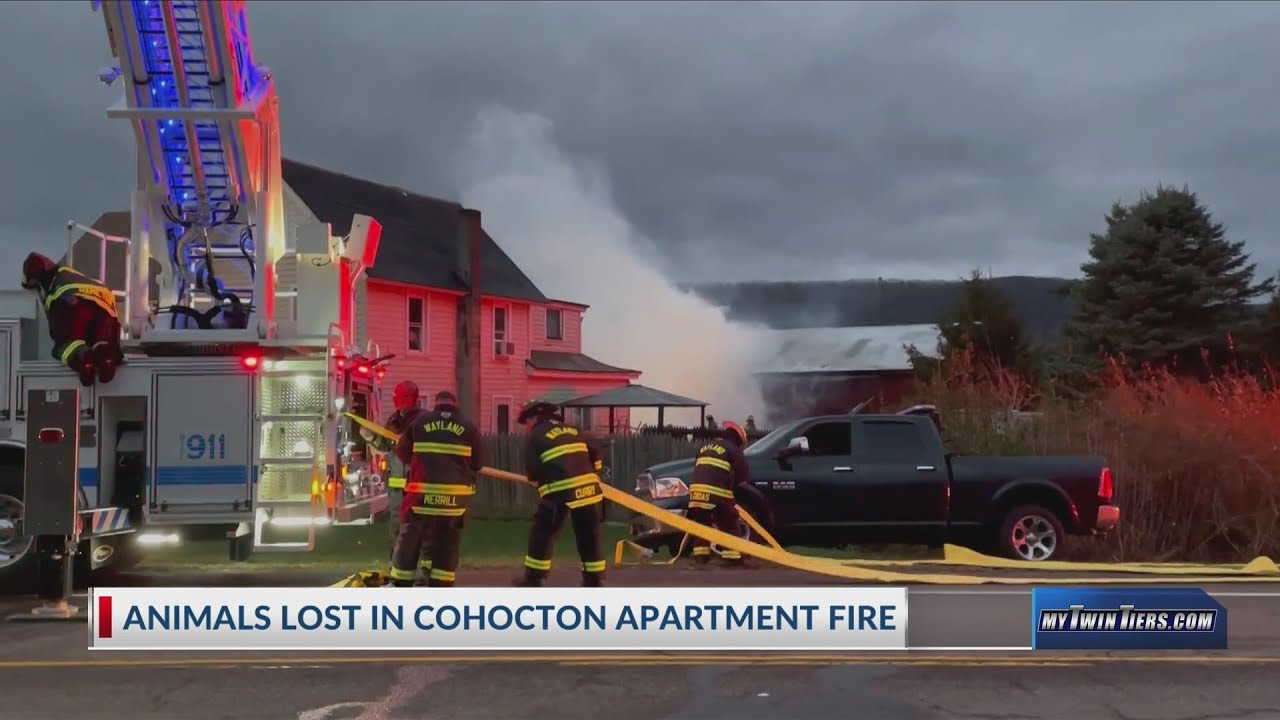 Early morning barn fire in Cohocton kills multiple animals YouTube