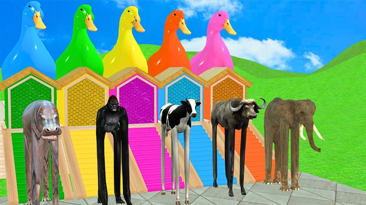 Cage Game With Elephant Gorilla Buffalo Hippo Tiger 3d Animal Game Funny 3d Animals