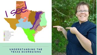 Wild Herbs & Useful Texas Plants ~ Wildcrafting in Texas ~ Understanding the Texas Ecoregion