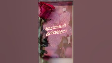 #اكسبلور #المصحف #القرآن_الكريم #تلاوة_خاشعة #راحة_نفسية #ذكر_الله #duet