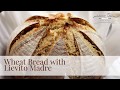 Dutch Oven Whole Wheat Bread with Lievito Madre - artisanbreadandmore.com