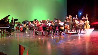Swan Lake DSA Orchestra 2018 Winter Concert