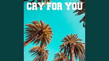 Cry For You (feat. September) (Nide Remix)