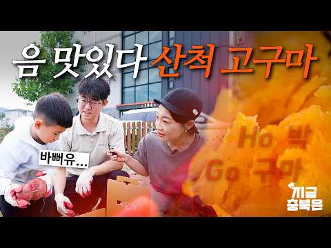 충주 산척 고구마축제 현장 | 지금충북은 20260916
