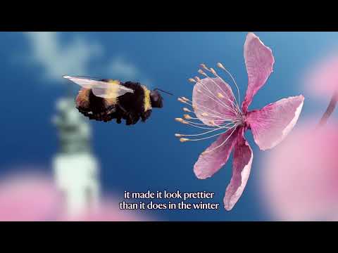 Blossom Together -