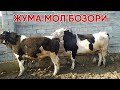 ЖУМА МОЛ БОЗОРИ НАРХЛАРИ